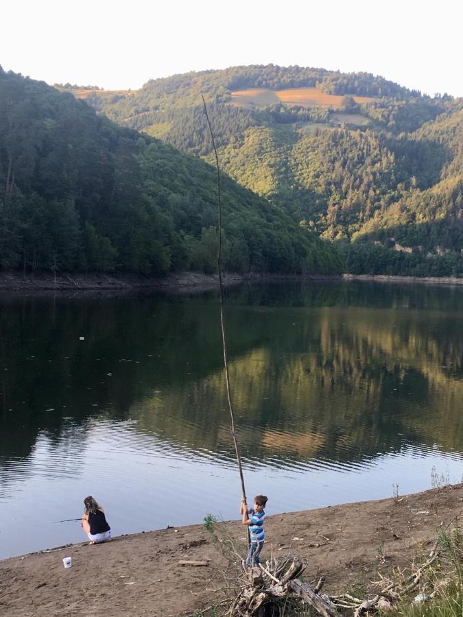 Cabana Baraj Apuseni Mountains Mihoesti Exterior foto