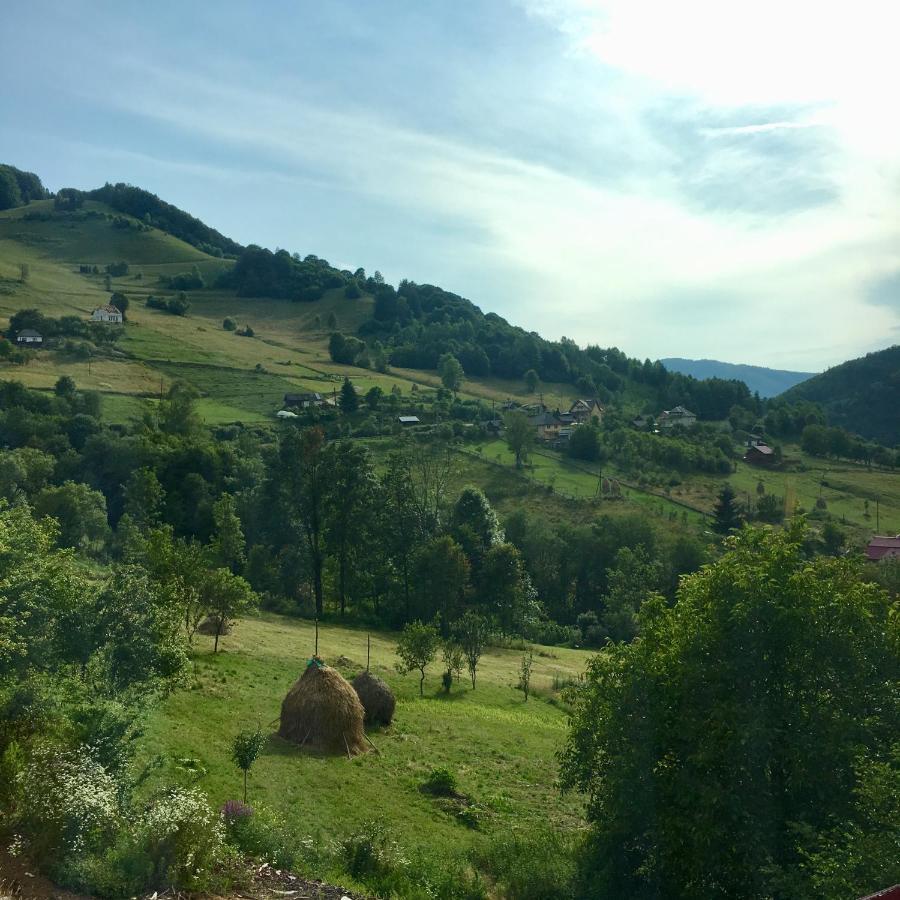 Cabana Baraj Apuseni Mountains Mihoesti Exterior foto