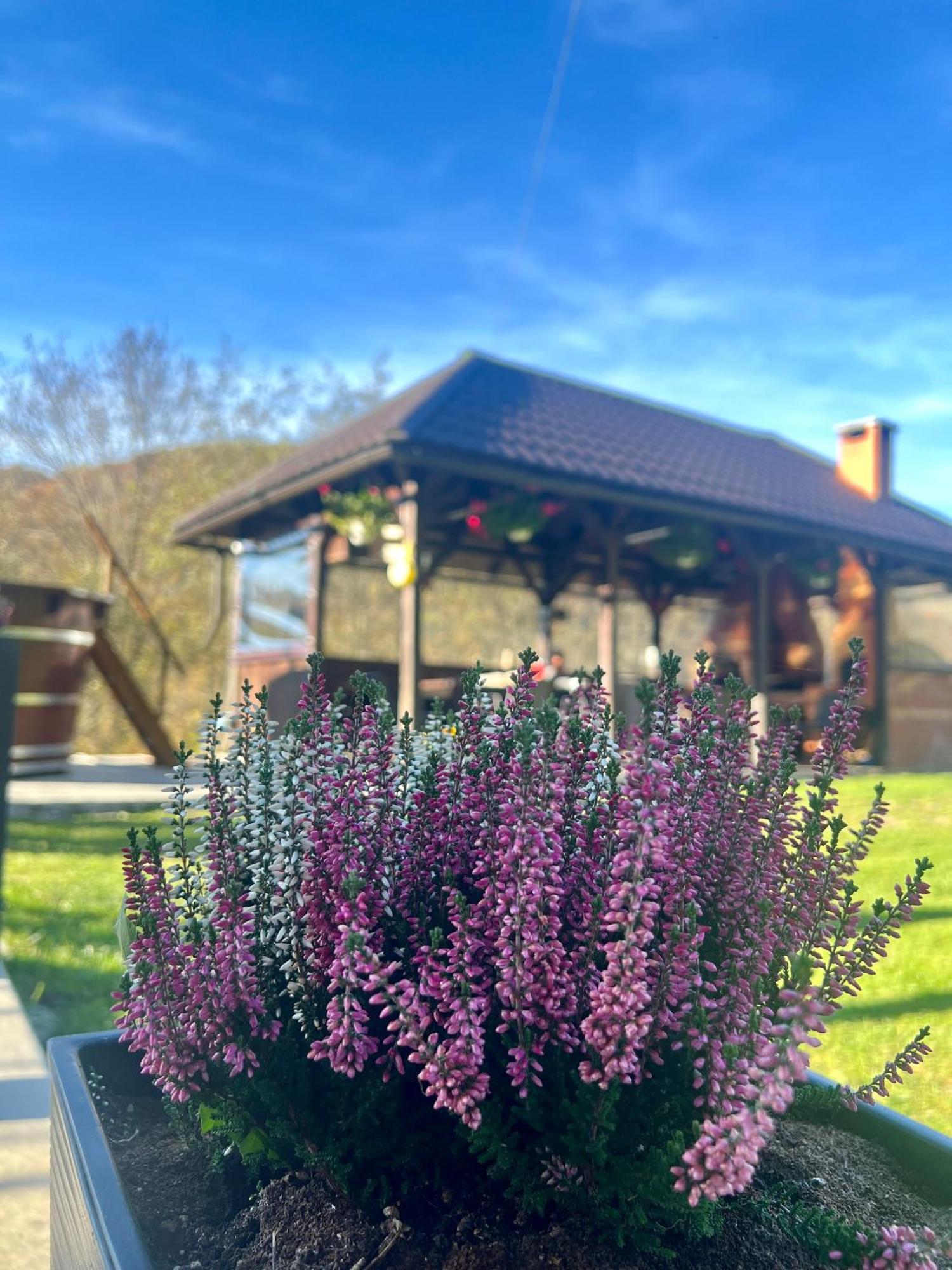 Cabana Baraj Apuseni Mountains Mihoesti Exterior foto