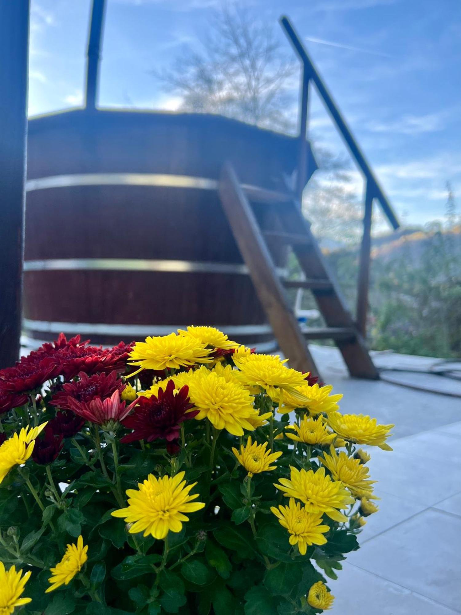 Cabana Baraj Apuseni Mountains Mihoesti Exterior foto